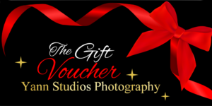 Yann Studios Gift Voucher
